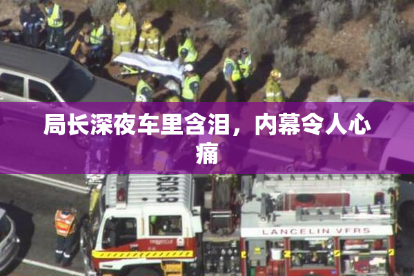 局长深夜车里含泪，内幕令人心痛