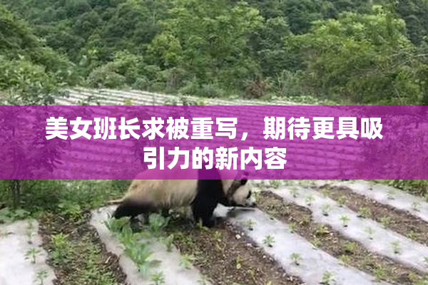 美女班长求被重写，期待更具吸引力的新内容