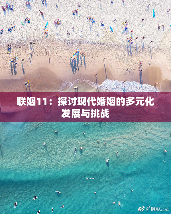 联姻11：探讨现代婚姻的多元化发展与挑战