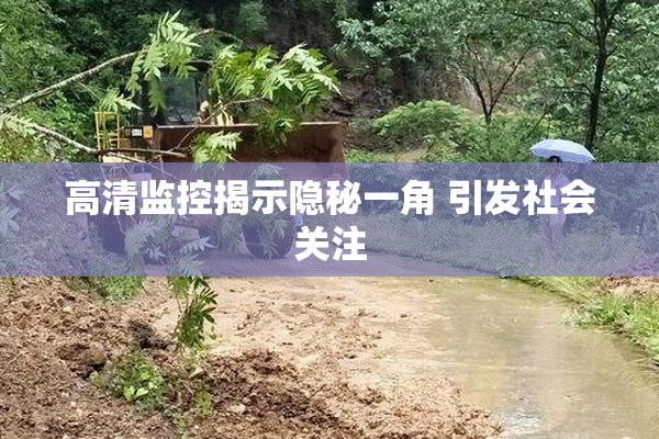 高清监控揭示隐秘一角 引发社会关注