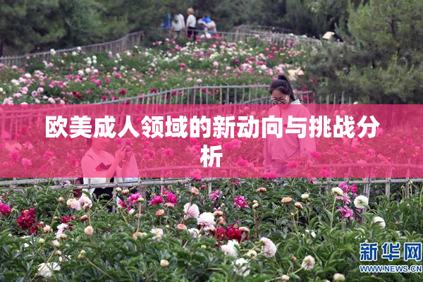 欧美成人领域的新动向与挑战分析