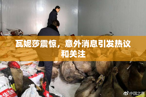 瓦妮莎震惊，意外消息引发热议和关注