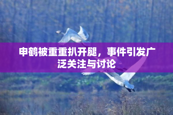 申鹤被重重扒开腿，事件引发广泛关注与讨论