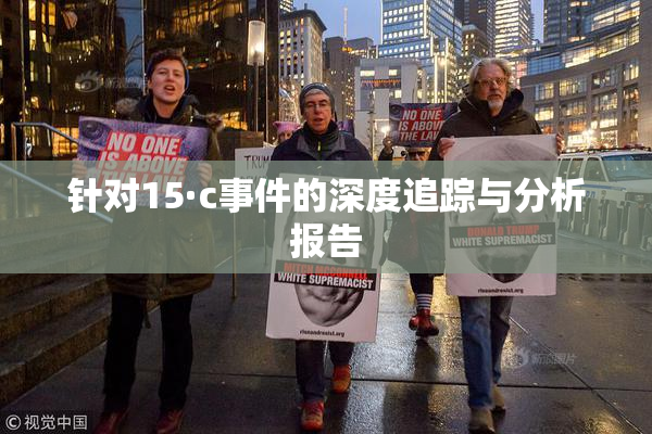 针对15·c事件的深度追踪与分析报告