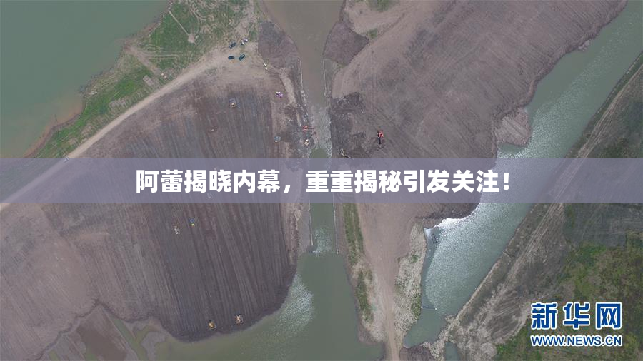 阿蕾揭晓内幕，重重揭秘引发关注！