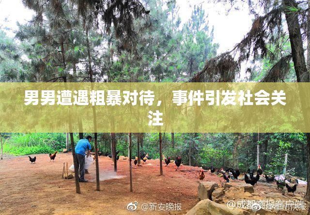 男男遭遇粗暴对待，事件引发社会关注