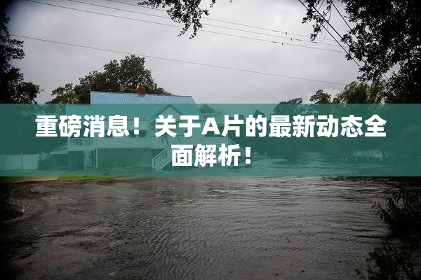 重磅消息！关于A片的最新动态全面解析！