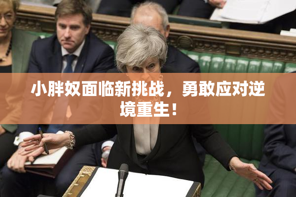 小胖奴面临新挑战，勇敢应对逆境重生！