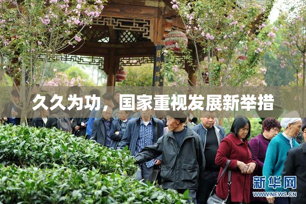 久久为功，国家重视发展新举措