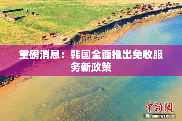 重磅消息：韩国全面推出免收服务新政策