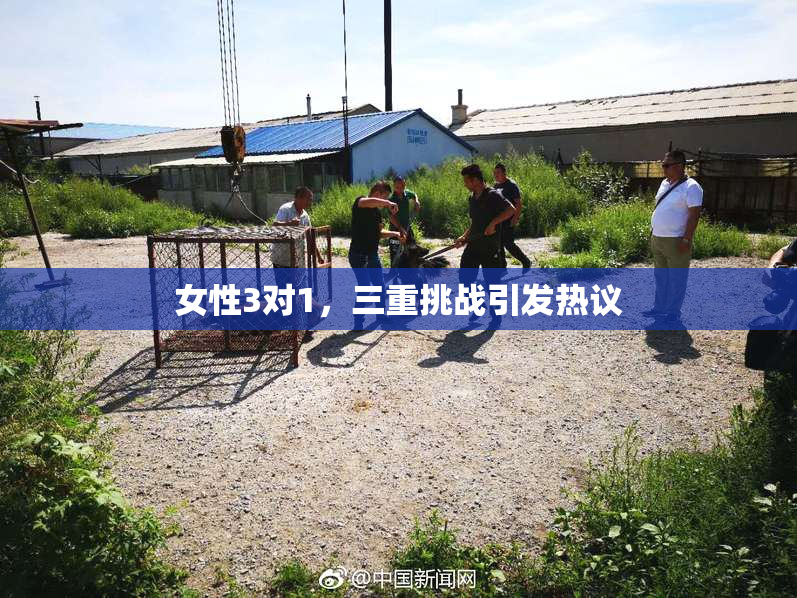 女性3对1，三重挑战引发热议