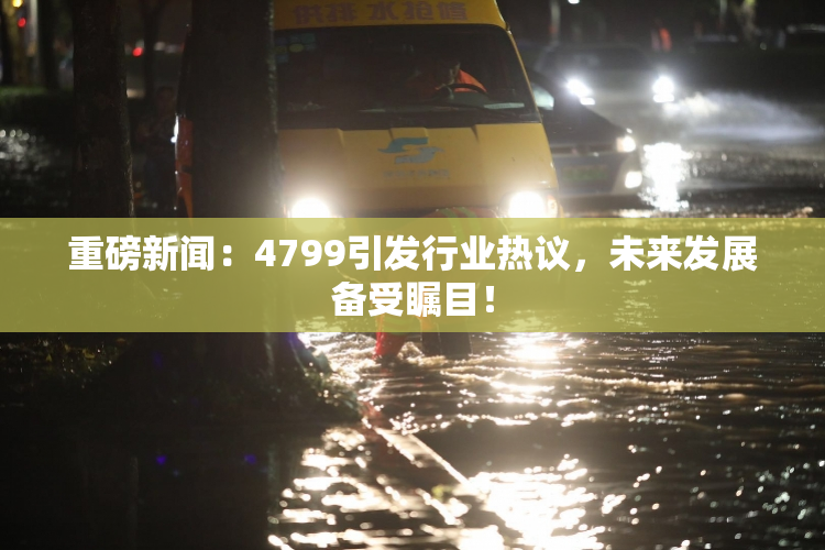 重磅新闻：4799引发行业热议，未来发展备受瞩目！