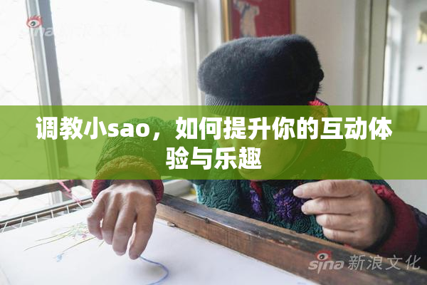调教小sao，如何提升你的互动体验与乐趣