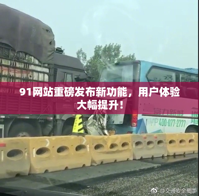 91网站重磅发布新功能，用户体验大幅提升！