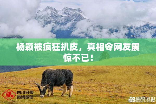 杨颖被疯狂扒皮，真相令网友震惊不已！