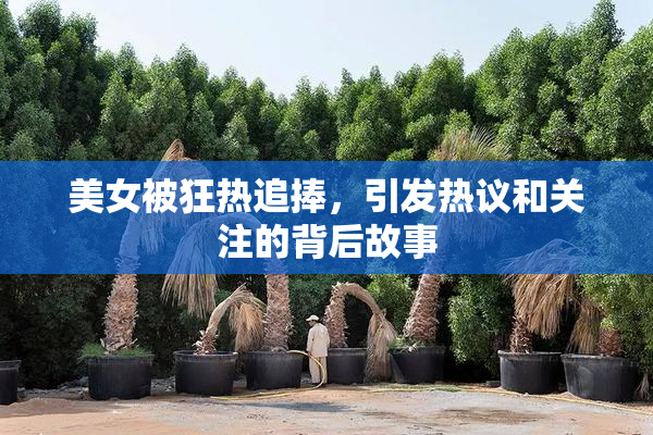 美女被狂热追捧，引发热议和关注的背后故事