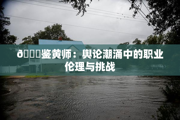 🔞鉴黄师：舆论潮涌中的职业伦理与挑战