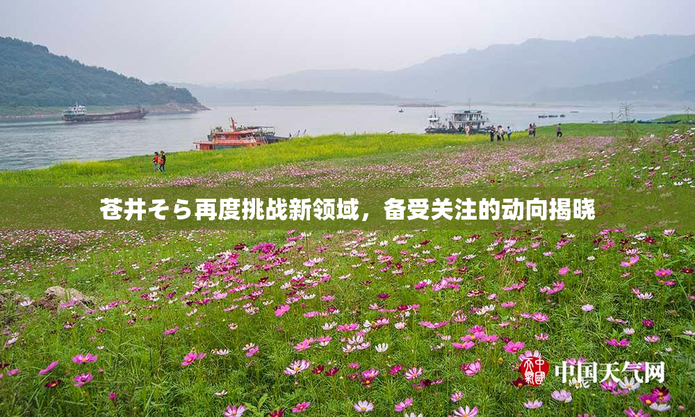 苍井そら再度挑战新领域，备受关注的动向揭晓
