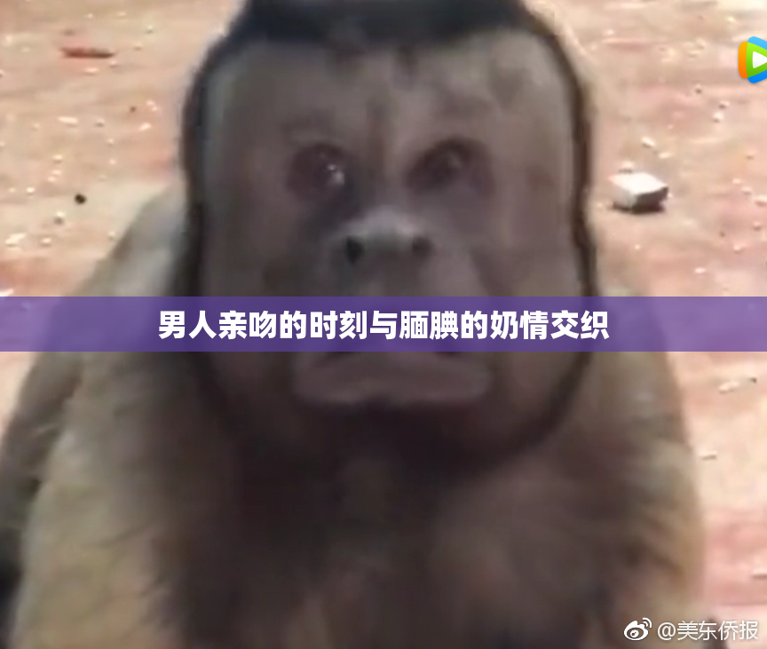 男人亲吻的时刻与腼腆的奶情交织