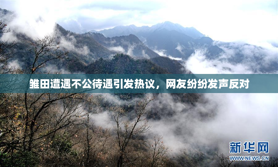 雏田遭遇不公待遇引发热议，网友纷纷发声反对