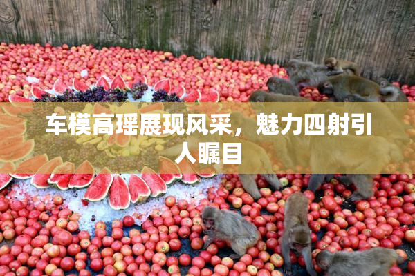 车模高瑶展现风采，魅力四射引人瞩目