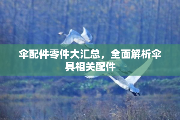 伞配件零件大汇总，全面解析伞具相关配件