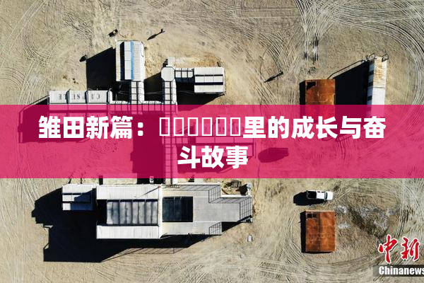 雏田新篇：❌‌❌‌❌‌里的成长与奋斗故事