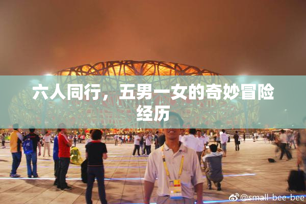 六人同行，五男一女的奇妙冒险经历