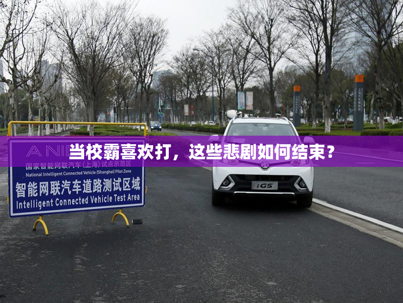 当校霸喜欢打，这些悲剧如何结束？
