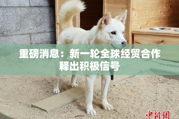 重磅消息：新一轮全球经贸合作释出积极信号