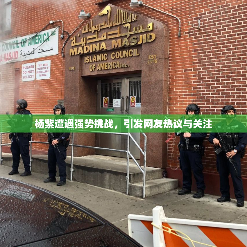 杨紫遭遇强势挑战，引发网友热议与关注