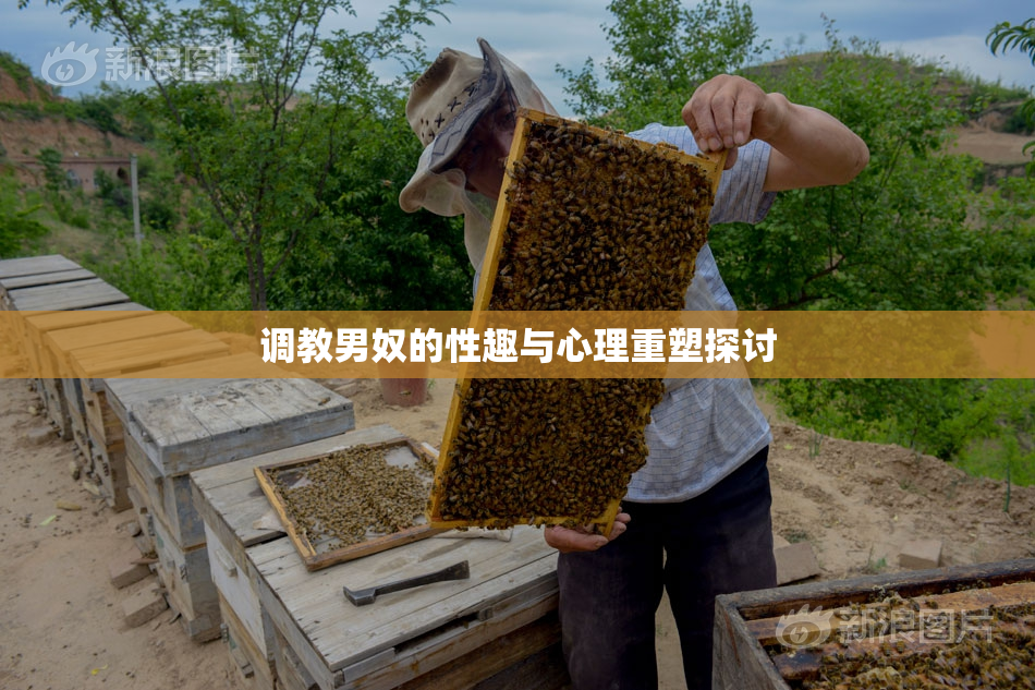 调教男奴的性趣与心理重塑探讨