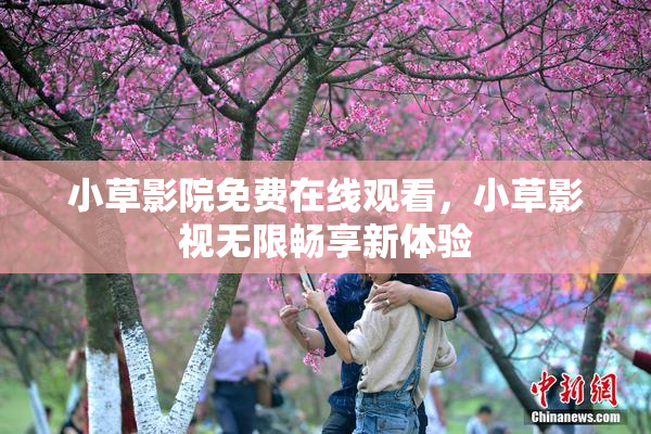小草影院免费在线观看，小草影视无限畅享新体验