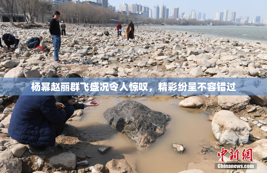 杨幂赵丽群飞盛况令人惊叹，精彩纷呈不容错过