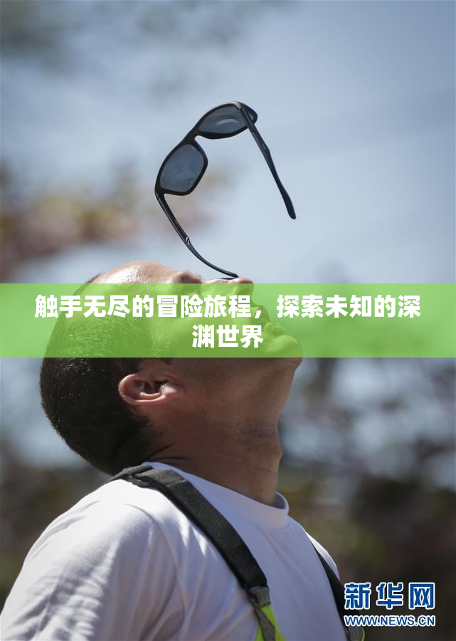 触手无尽的冒险旅程，探索未知的深渊世界