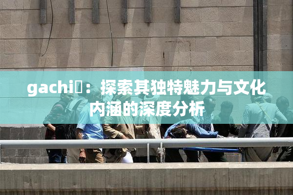 gachi籣：探索其独特魅力与文化内涵的深度分析