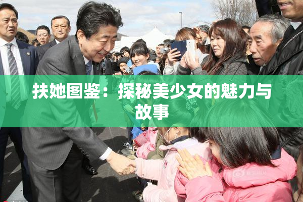 扶她图鉴：探秘美少女的魅力与故事