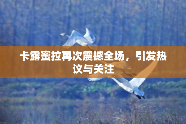 卡露蜜拉再次震撼全场，引发热议与关注