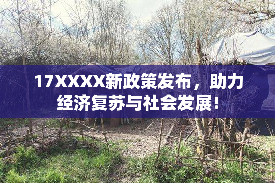 17XXXX新政策发布，助力经济复苏与社会发展！