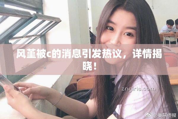 风堇被c的消息引发热议，详情揭晓！