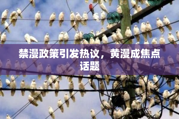 禁漫政策引发热议，黄漫成焦点话题