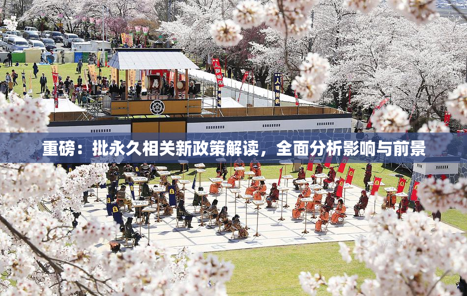 重磅：批永久相关新政策解读，全面分析影响与前景