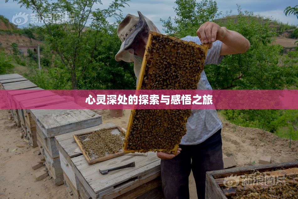 心灵深处的探索与感悟之旅