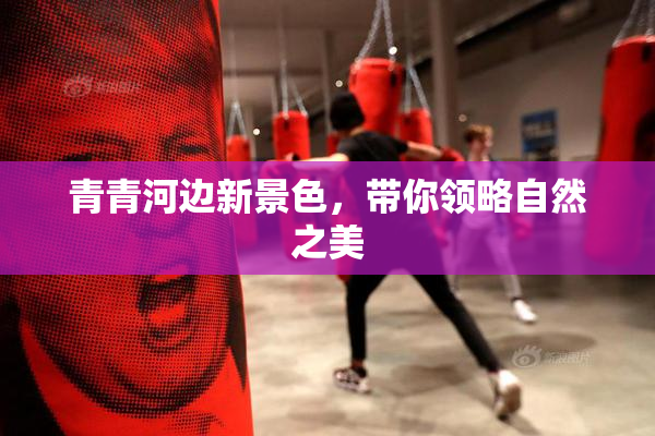 青青河边新景色，带你领略自然之美