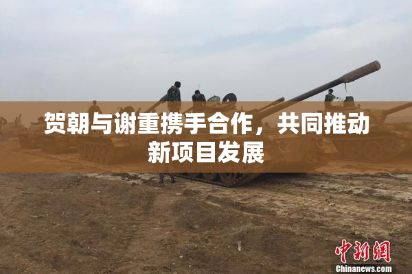 贺朝与谢重携手合作，共同推动新项目发展