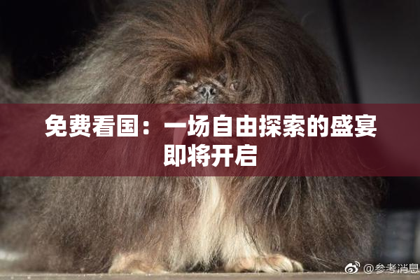 免费看国：一场自由探索的盛宴即将开启