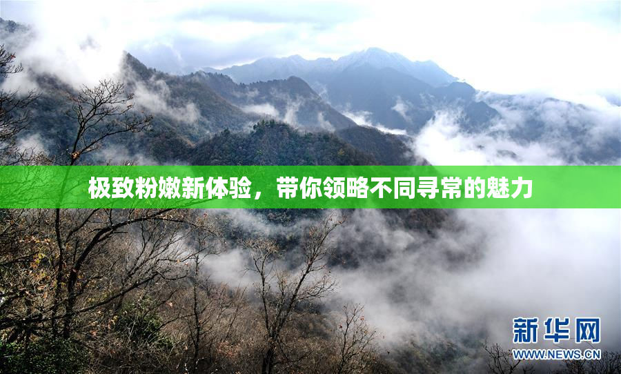 极致粉嫩新体验，带你领略不同寻常的魅力