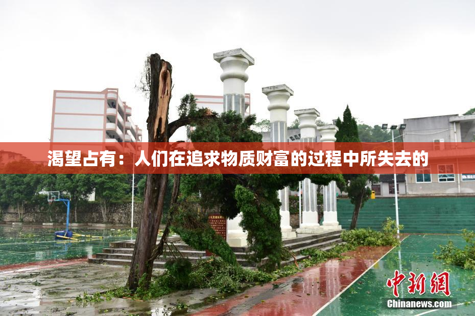 渴望占有：人们在追求物质财富的过程中所失去的