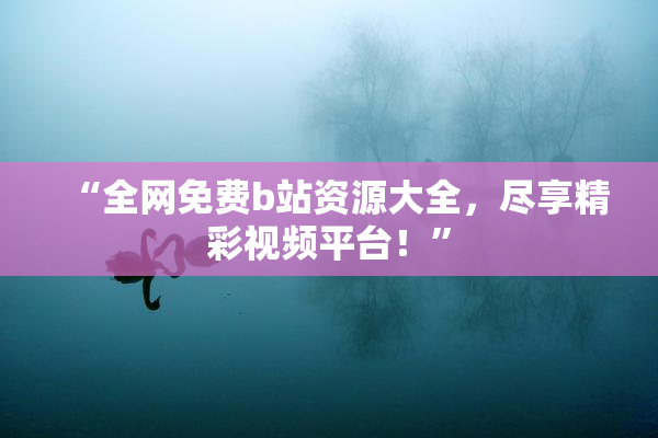 “全网免费b站资源大全，尽享精彩视频平台！”