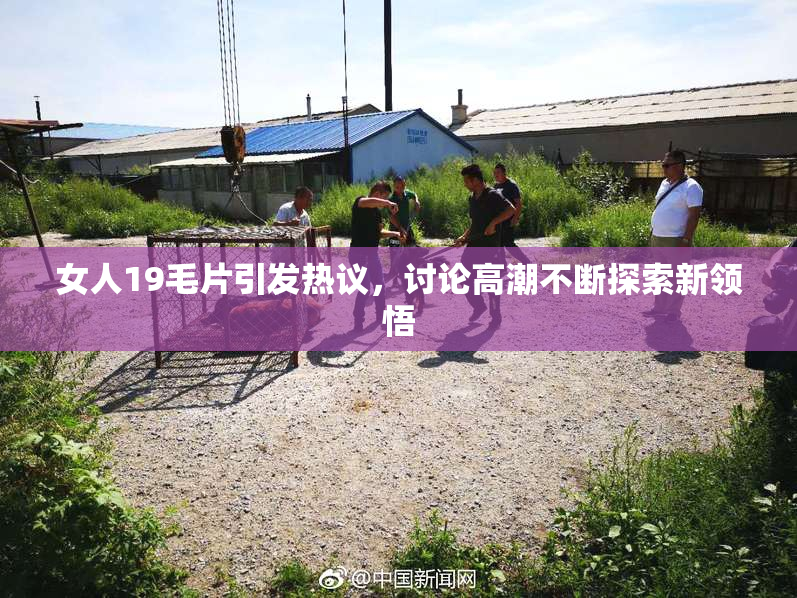 女人19毛片引发热议，讨论高潮不断探索新领悟
